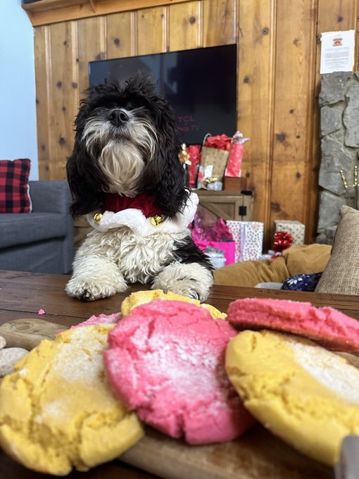 Watch BITCHIMBELLATHORNE's leaked NSFW photo on TwXstars