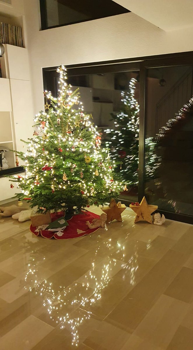 Michael Schedl (schedlmatic) tweet media