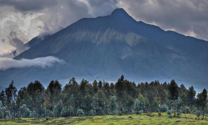 rbarwanda's tweet photo. Ikibazo cy’ibiza biterwa n’imvura nyinshi bikunze kwibasira abaturiye Pariki y’Igihugu y’Ibirunga, kigiye kuvugutirwa umuti binyuze mu mushinga mugari ugamije gufasha guhangana n’imihindagurikire y’ibihe uzatwara hafi Miliyari 500 z’amafaranga y’u Rwanda.#RBAAmakuru 

▶️ https://t.co/EGfjZgtxNT