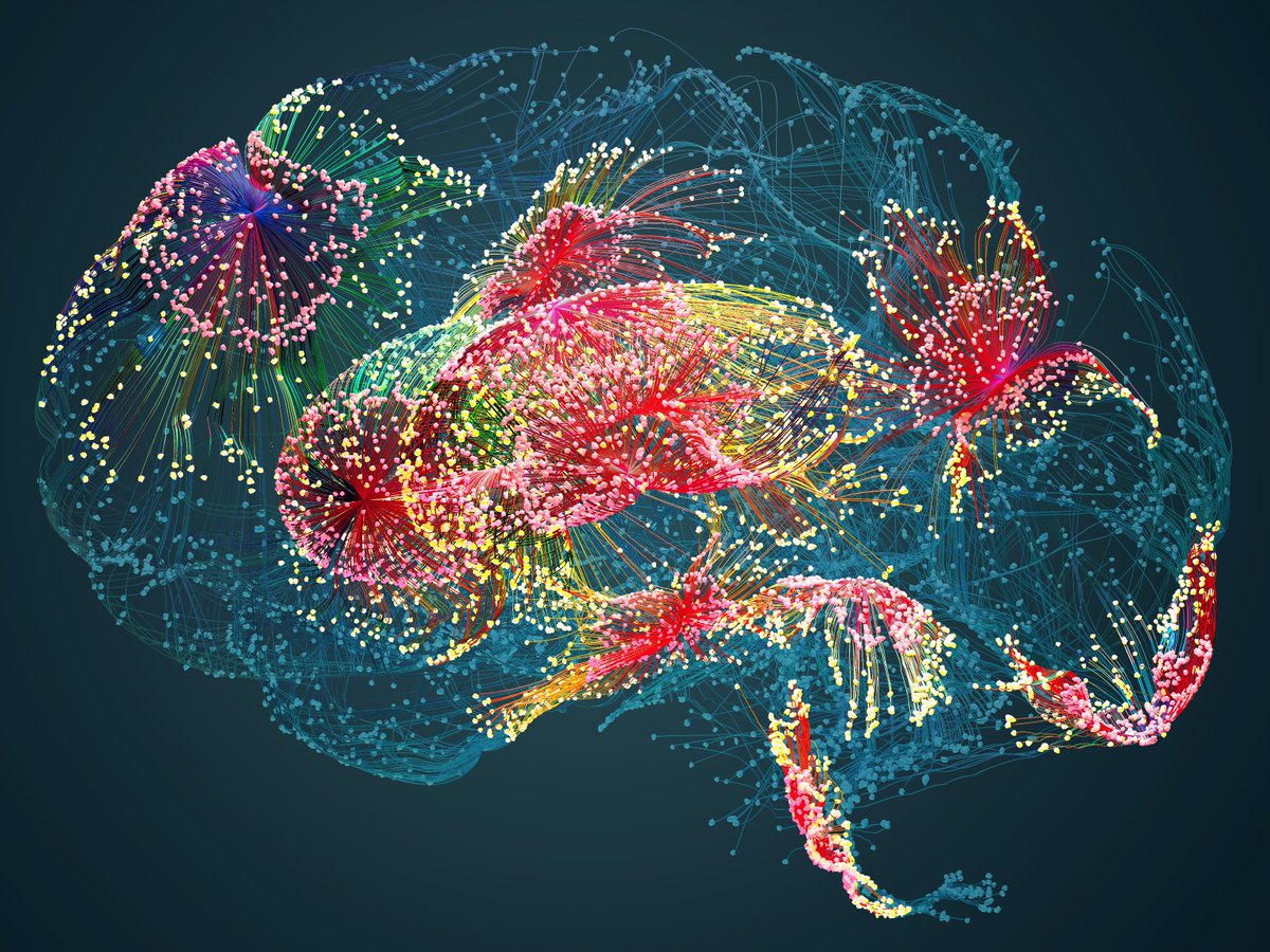 The Jackson Laboratory (@jacksonlab) on Twitter photo 🧠 New brain network modeling tools were developed through MODEL-AD, a consortium of experts, which includes JAX. Read <a href="/pharmabiznews/">Pharmabiz.com</a> to learn how they will use them in their pre-clinical investigations, including models of late-onset #Alzheimer’s disease:
pharmabiz.com/NewsDetails.as… 🧠 New brain network modeling tools were developed through MODEL-AD, a consortium of experts, which includes JAX. Read <a href="/pharmabiznews/">Pharmabiz.com</a> to learn how they will use them in their pre-clinical investigations, including models of late-onset #Alzheimer’s disease:
pharmabiz.com/NewsDetails.as…
