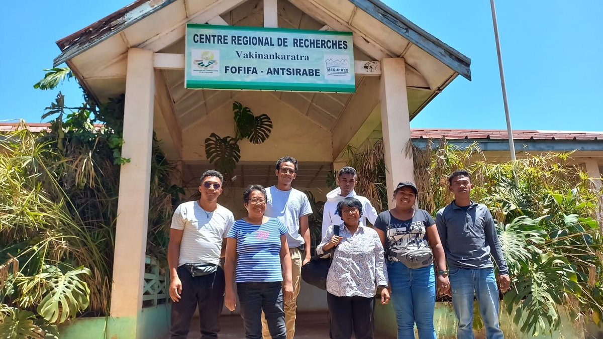 Global Collaboration on Sorghum and Millet🌾 tweet media