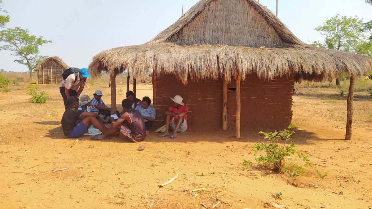 Global Collaboration on Sorghum and Millet🌾 tweet media