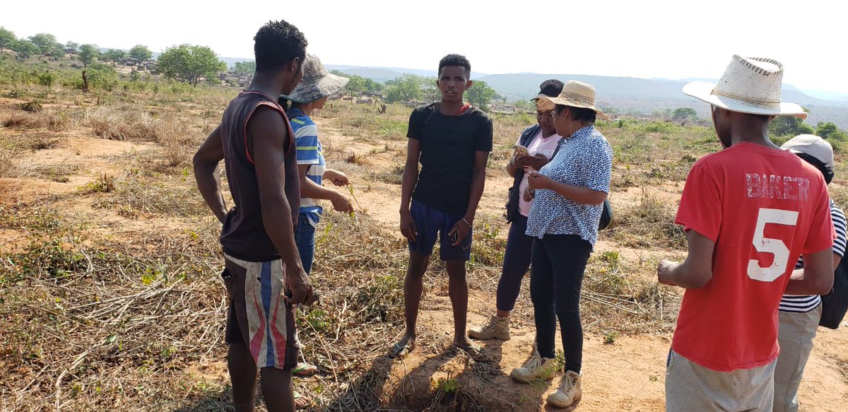 Global Collaboration on Sorghum and Millet🌾 tweet media