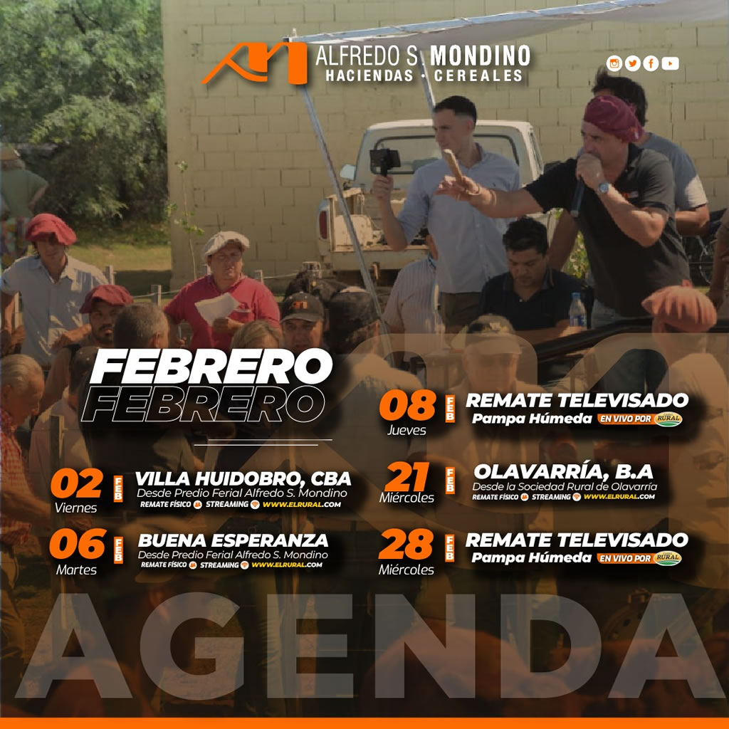 alfredosmondino's tweet photo. Calendario de Remates Febrero 2024 - https://t.co/tuAaeXAaXN https://t.co/kG7kSOl5oB