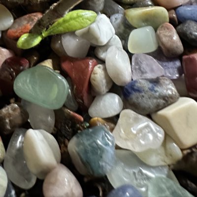 #NewProfilePic