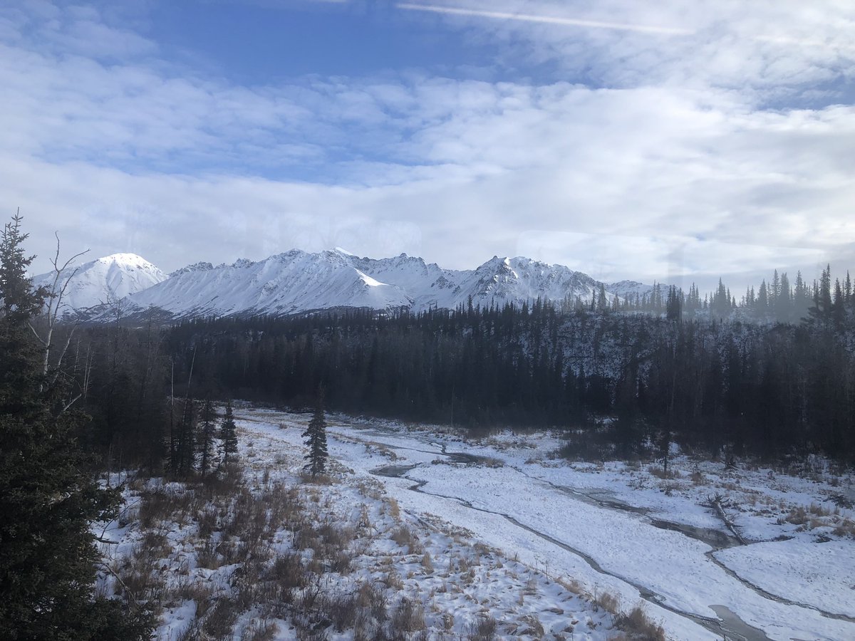 Ozymomdias tweet media