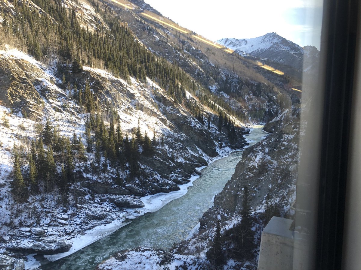 Ozymomdias tweet media