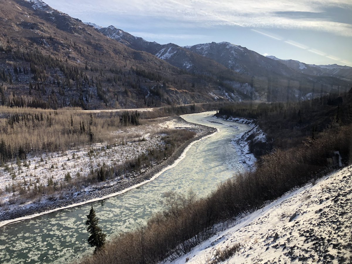 Ozymomdias tweet media