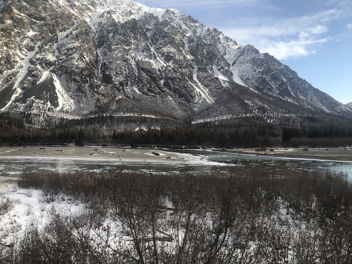 Ozymomdias tweet media