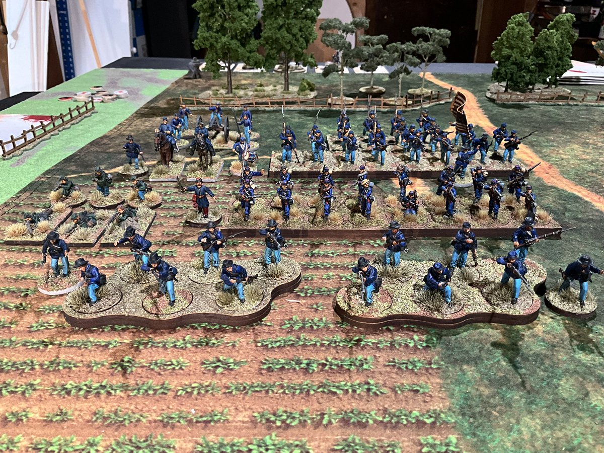 BC🌻🇺🇦 tweet media