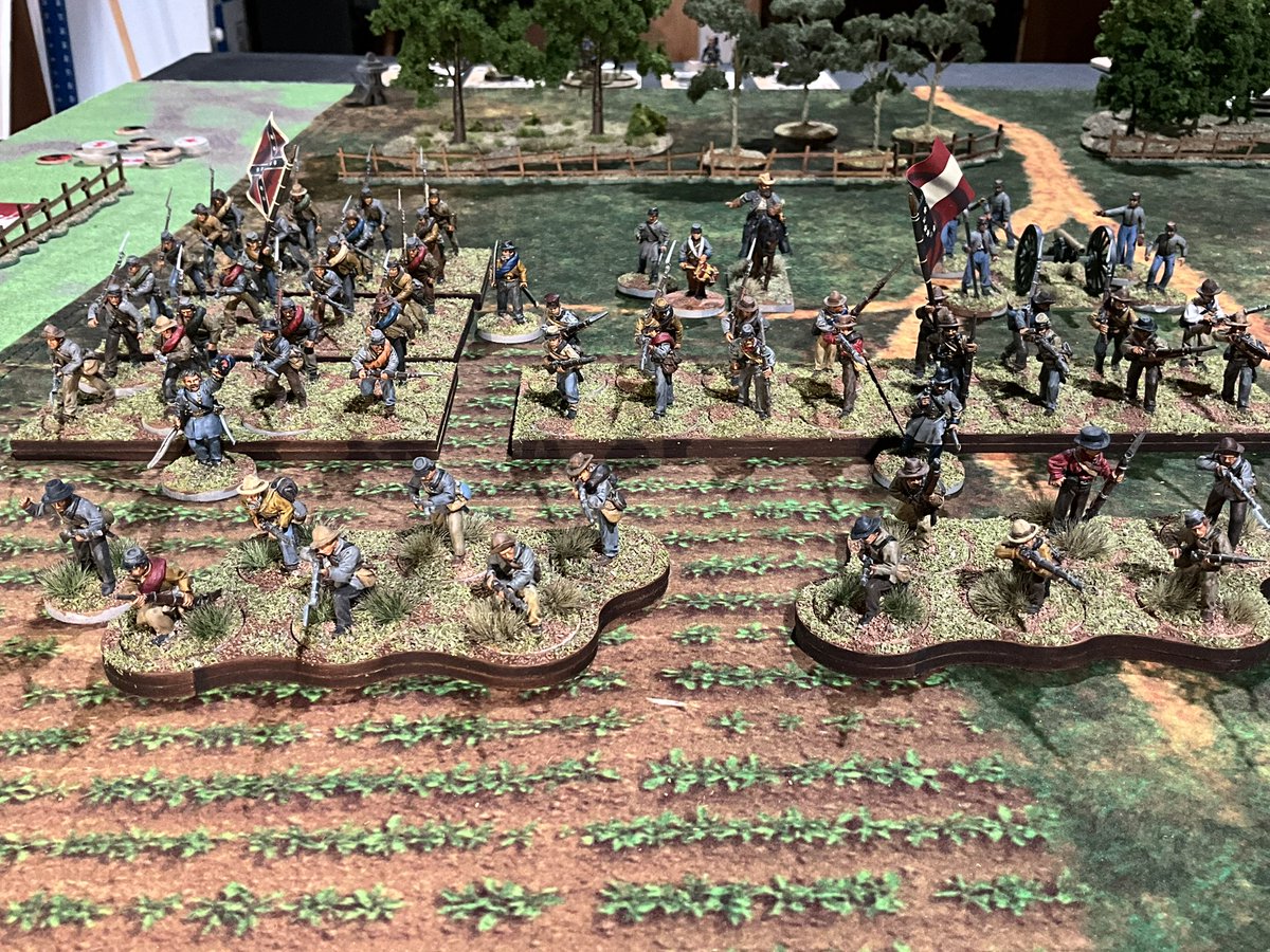 BC🌻🇺🇦 tweet media