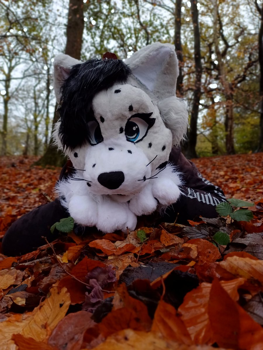 UndeadKCreation's tweet photo. @JaidenAnimation Hi hi! Im a small maker with reasonable prices! Id love to work with you ^^ Curious what you have in mind! https://t.co/HlifBcbvlE
