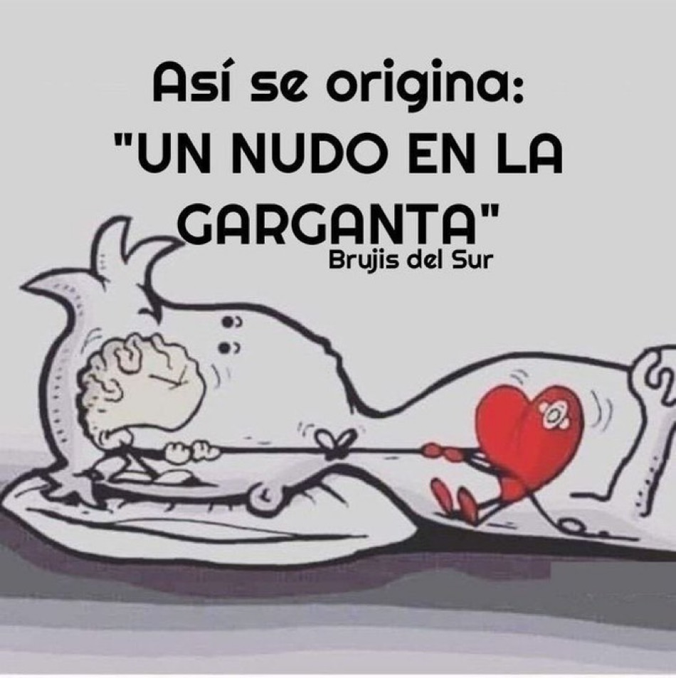 Me vale verga (@bydavidoficial) on Twitter photo 