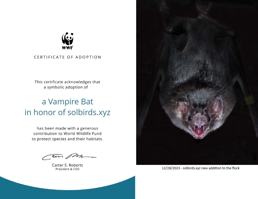 🦉 Adopt a virtual friend for your nest today at solbirds.xyz! SolBirds today has welcomed a new fren into the flock, thanks to your support. Let's continue making a difference online & beyond! Say hello to our new buddy the vampire bat 🦇 #SolBirds #AdoptAFriend