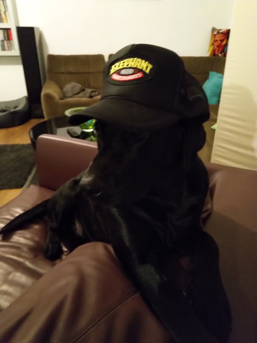 EHangonyiova's tweet image. 🫶❤️😀👍🥰