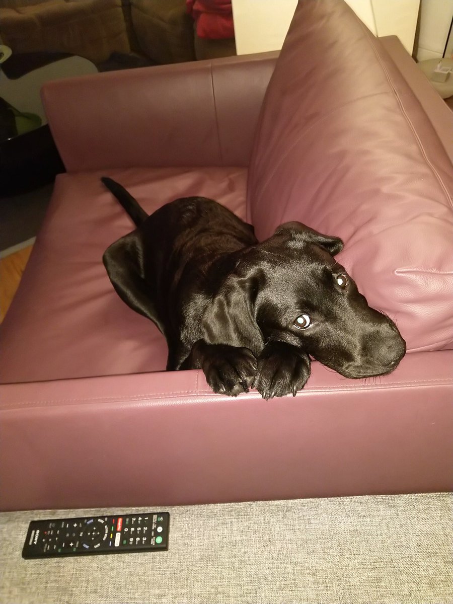 EHangonyiova's tweet image. 🫶❤️😀👍🥰