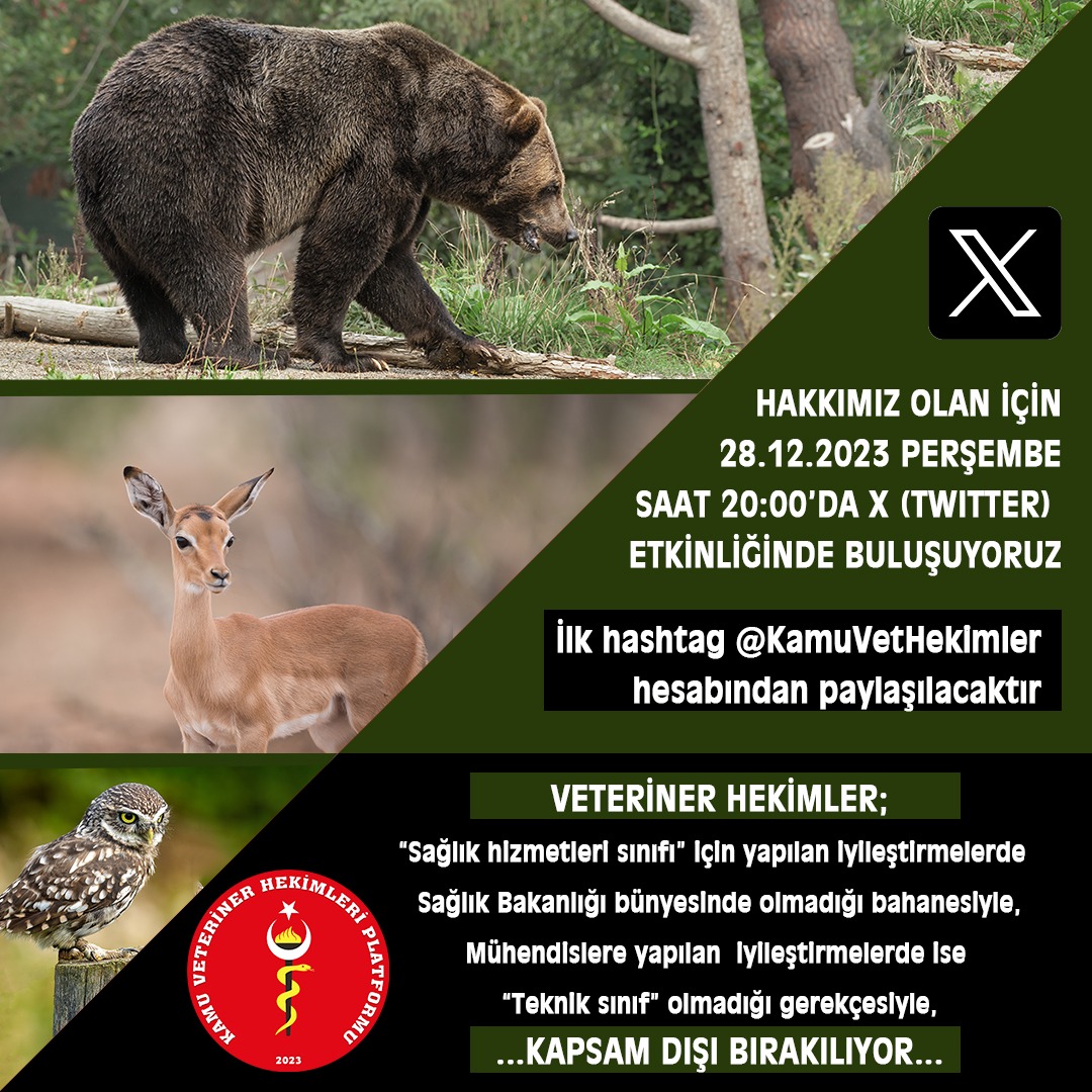 Veteriner Hekimler üvey evlat gibi davranılmasından sıkıldı. İş istenirken Doktor, ücret ödemeye gelince değil...  #VeterinerHekimTorbaYasaya