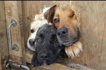 mcloud265's tweet photo. Koma mpaka ngongole ilowe chaka china? Kulitu ma bouncer otha kulanda ngongole ku @SmartDebtCCM https://t.co/vnT9x9MXRP