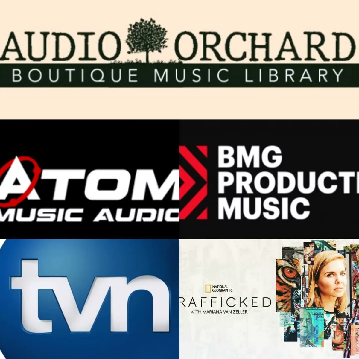 2023 is in the books ✅️ Had my music feautered on TV all around the world and signed with top publishers. On the business side I was promoted to a Senior Music Royalties Analyst, and I also came on board as a Co-owner of @audio_orchard, an Irish based Production Music Library.