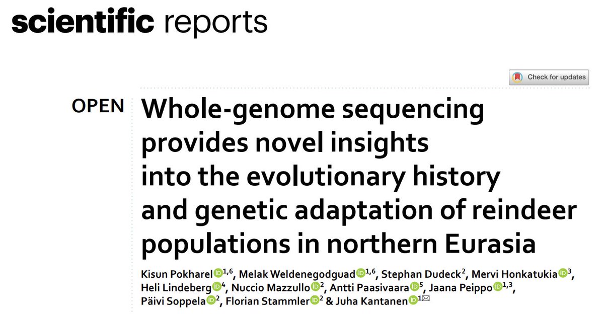 kisunpokharel's tweet photo. Ho Ho Ho! Our new study on reindeer genomics was just published earlier today. 1/8🧵 https://t.co/EUuTgOSx6m