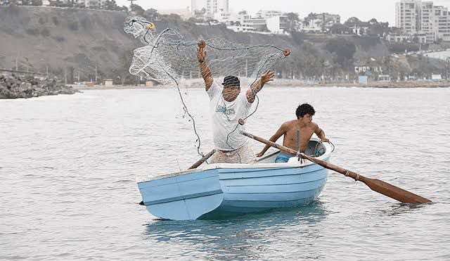 Oceana_Peru's tweet photo. ¡Los pescadores artesanales tienen derecho a trabajar! En plena recesión económica y en el marco del Niño, pescadores artesanales de Barranco denuncian que la Municipalidad de ese distrito les ha dado 48 horas de plazo para desalojar la playa. https://t.co/Rq0gNPN2ss
