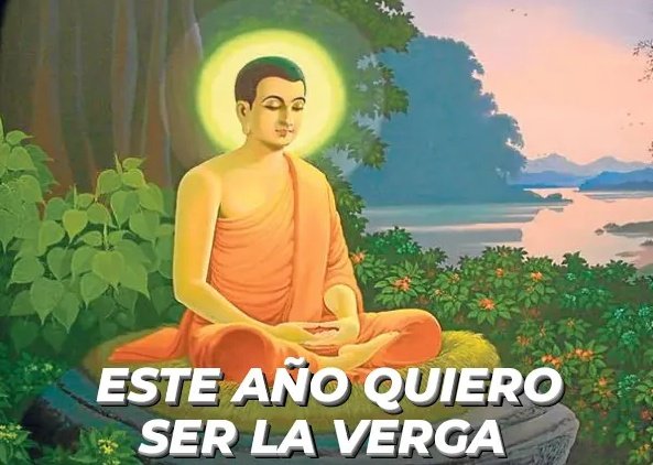 biciclotimia's tweet photo. Yo manifestando el 31 de diciembre https://t.co/wk0Ka0SD8O