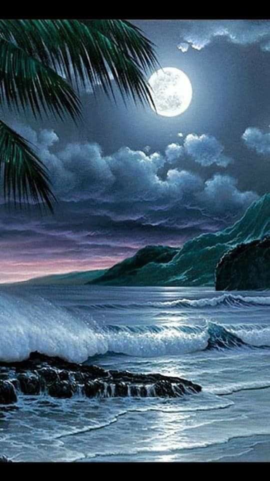 Good night my friends 🌜✨💖