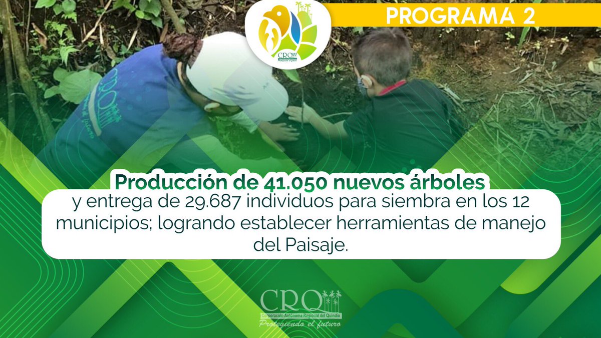 Uno de los grandes propósitos que desarrolló José Manuel Cortés Orozco, director general de la CRQ, fue la generación de nuevos árboles para el Quindío. 

Con la producción de nuevos individuos forestales la CRQ llegó a los 12 municipios para fortalecer los procesos ambientales.