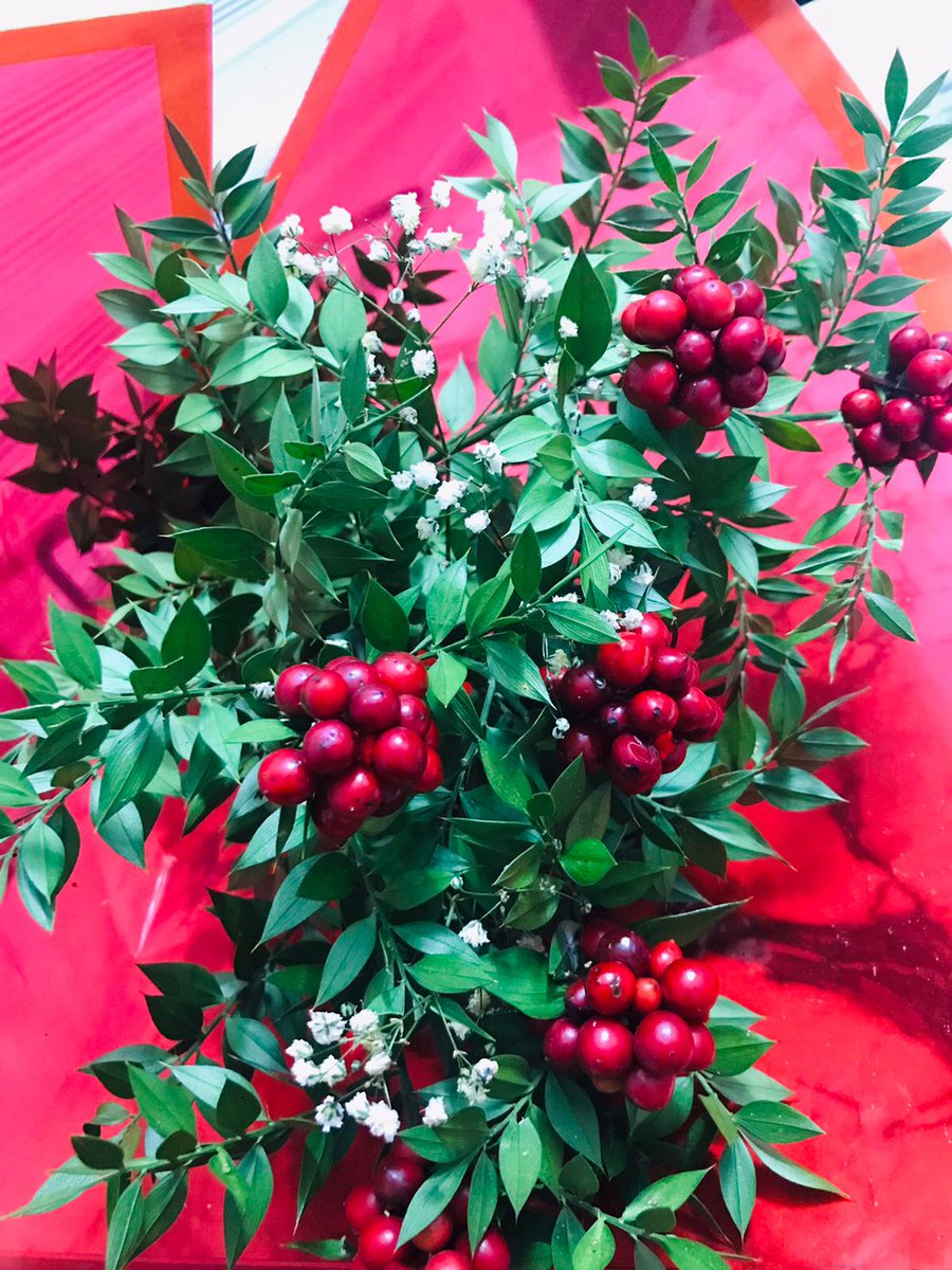 #kokinaçiçeği ❤️
#NewYear2024 😍