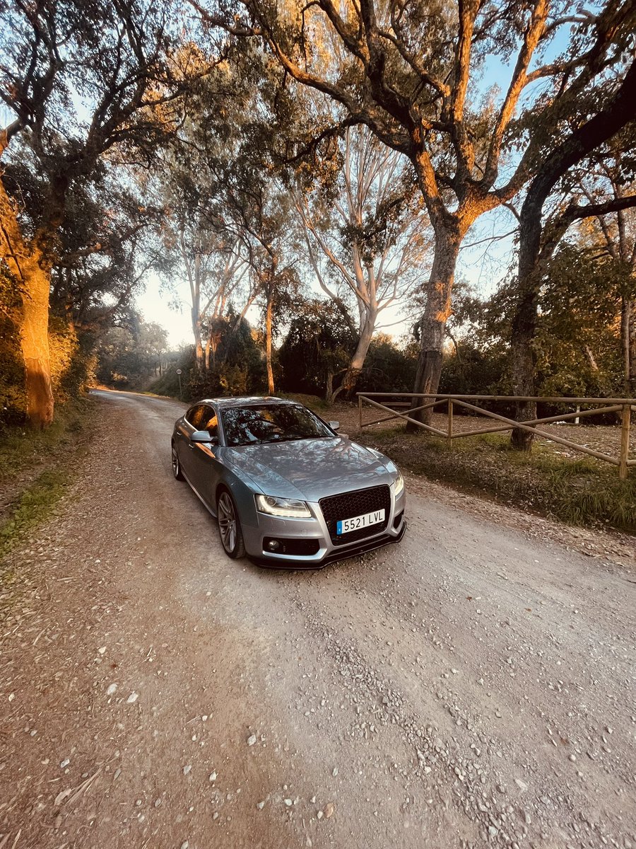 alexantuneez tweet media