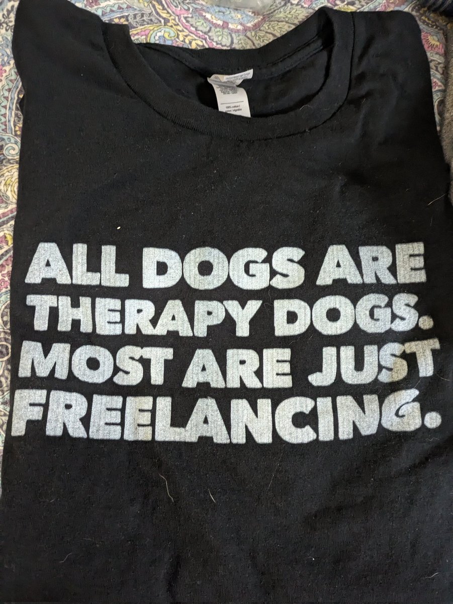 Best t-shirt ever (from in-laws). #DogsOfTwitter #DogsOfX