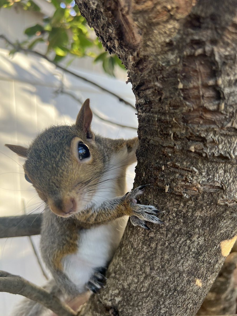 liu uzi chang (@liuuzichang) on Twitter photo 