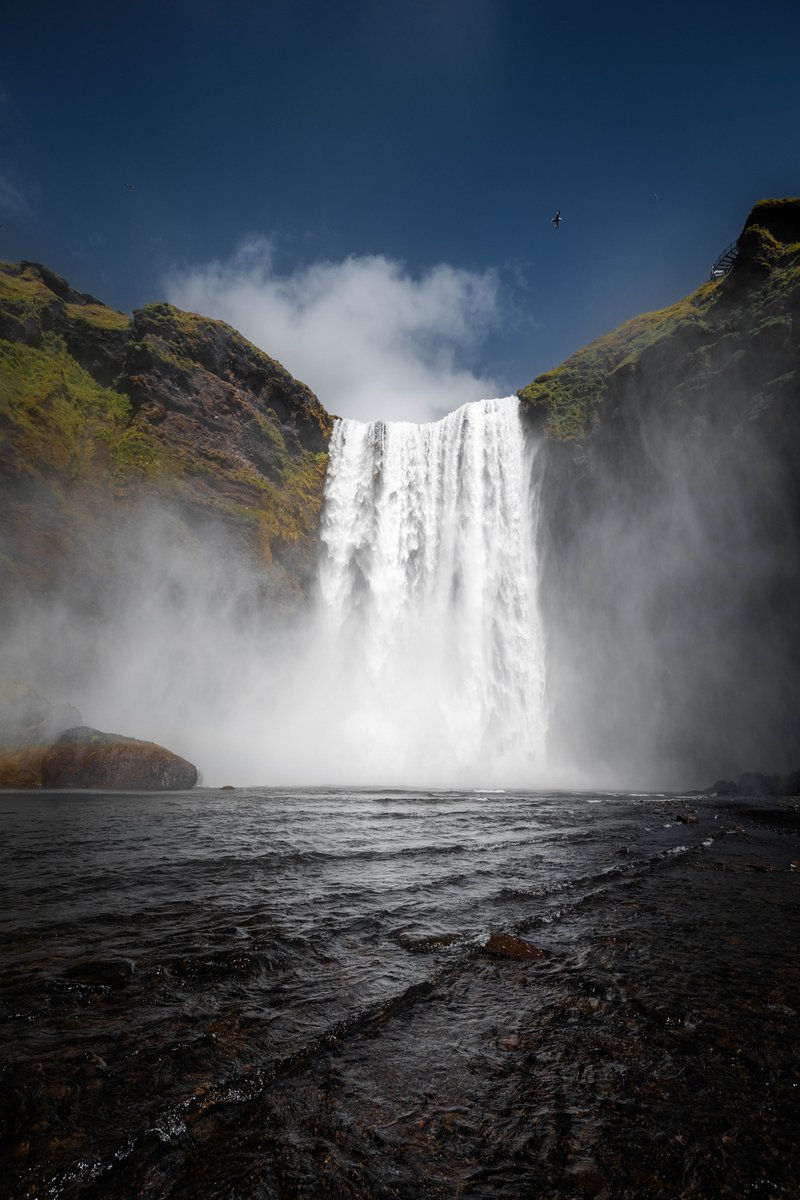 📣 MakersPlace and <a href="/TransientLabs/">Transient Labs</a> employees unite in a new drop for a cause close to our hearts. Together, we're supporting <a href="/UnhrdXYZ/">UNHRD</a> , a non-profit founded by the talented photographer <a href="/richardzphotoz/">richard</a> .

Visit the drop below and learn more about UNHRD.

🧵🔗↴
