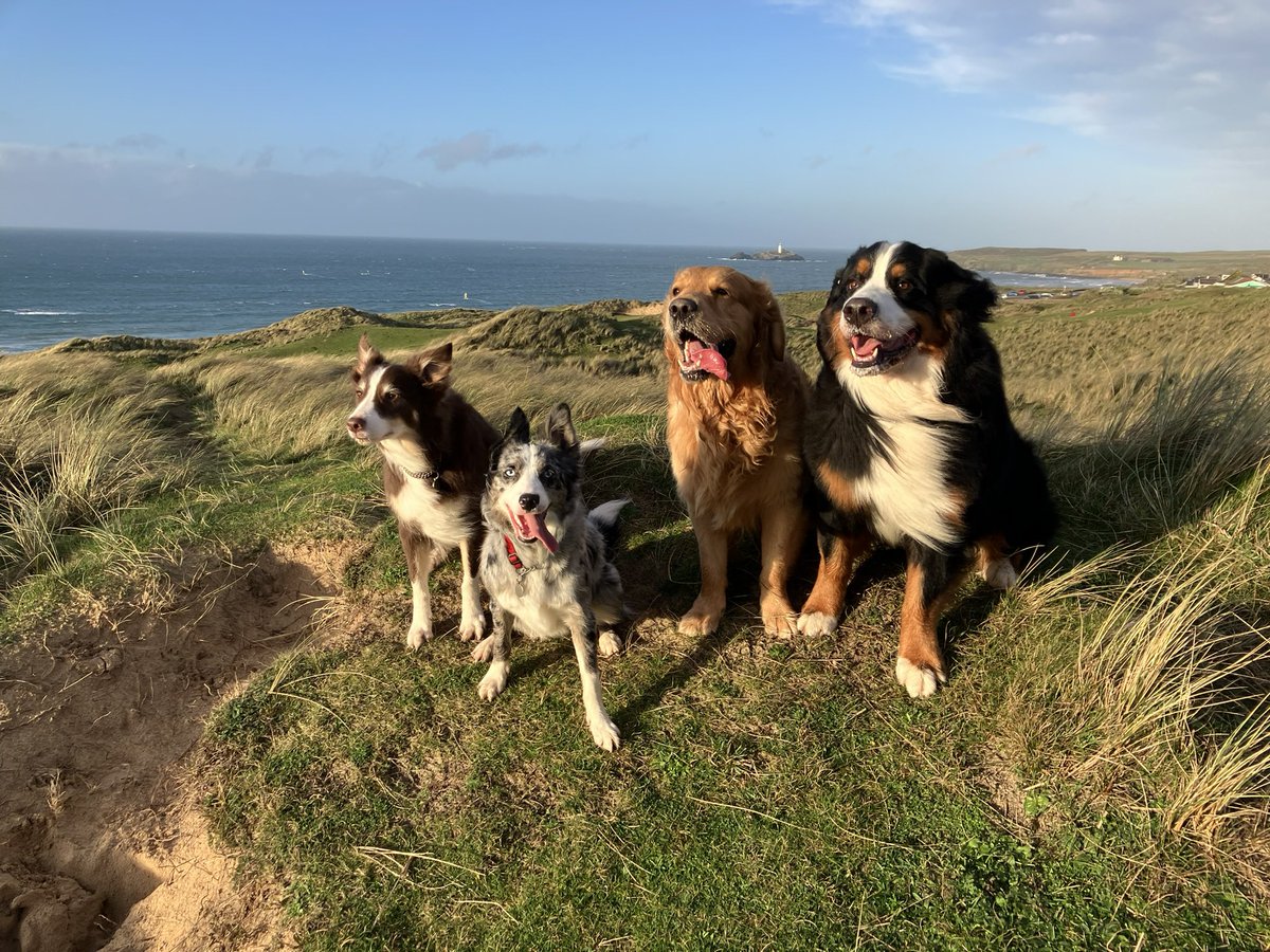 mrsmortuk's tweet photo. Bit breezy yesterday https://t.co/eUZZ43Yr78