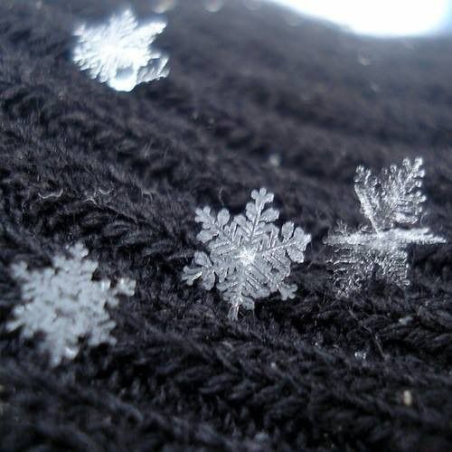 hyunstupib's tweet photo. copos de nieve
- mini au hyunin     [ 15 tweets ]

es casi imposible que existan copos de nieve iguales, pero en su primer invierno juntos como una pareja de casados, hyvnjin y jeongn se encuentran con dos idénticos https://t.co/CZ4otlceoT