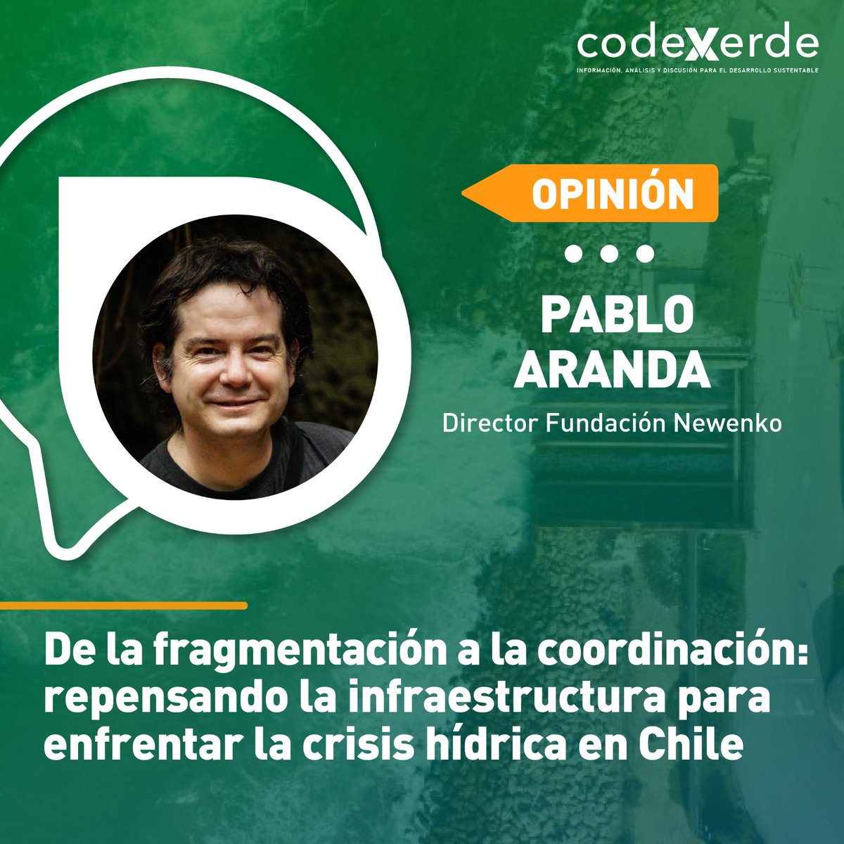 Codexverde tweet media