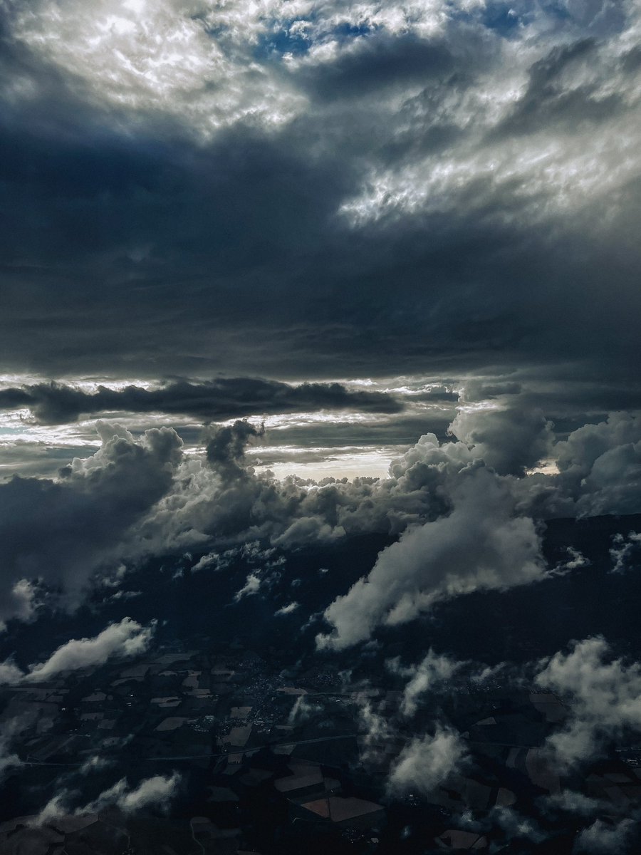 Ayman Hariri tweet media