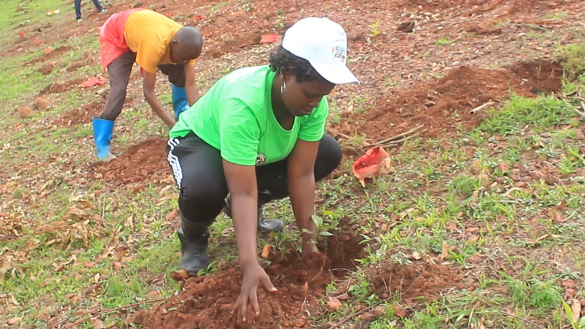 CnddFddButanyer's tweet photo. 28/12/2023 Umunyamabanga w'umugambwe @CnddFdd muri Komine #Tangara ari kumwe n'intwaro muri Komine n'abo muri #Bpeae_Ngozi bifadikanije n'#Imbonerakure zo Ku mutumba wa #Myando mu bikorwa vyo gutera ikawa 1660 mu gipimo kizojamwo ikawa 3000.
@R_Ndikuriyo https://t.co/TqtPnFPKL5