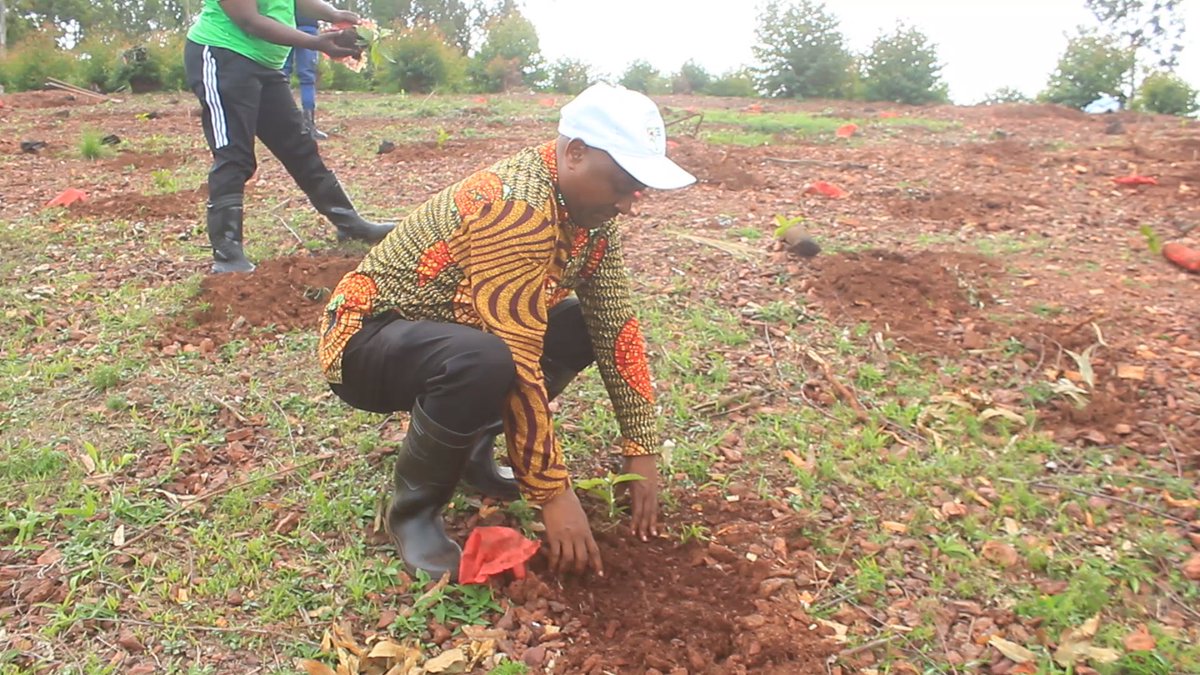 CnddFddButanyer's tweet photo. 28/12/2023 Umunyamabanga w'umugambwe @CnddFdd muri Komine #Tangara ari kumwe n'intwaro muri Komine n'abo muri #Bpeae_Ngozi bifadikanije n'#Imbonerakure zo Ku mutumba wa #Myando mu bikorwa vyo gutera ikawa 1660 mu gipimo kizojamwo ikawa 3000.
@R_Ndikuriyo https://t.co/TqtPnFPKL5
