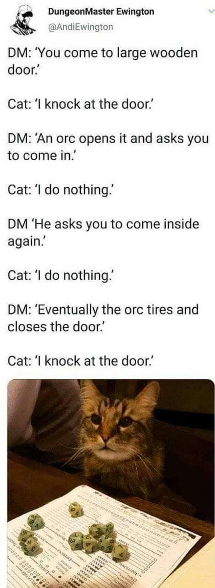 Cats are such buttheads! #dnd