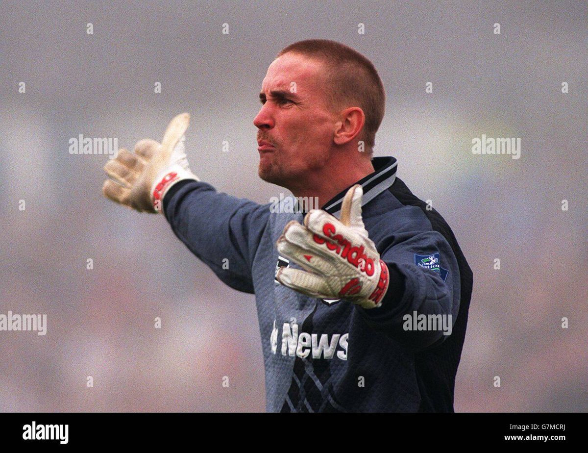 мαтт tweet media