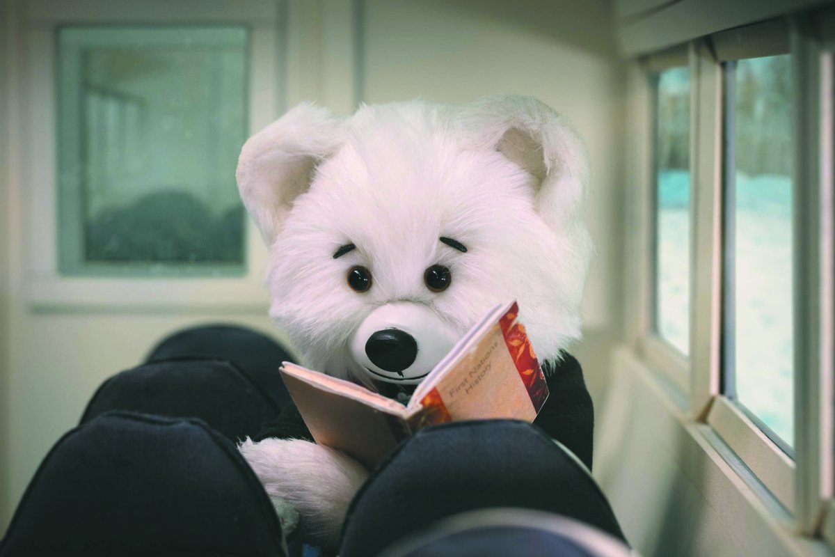 With the holiday season winding down, are you looking for a way to keep the kids entertained? Consider hosting a Spirit Bear TV streaming party in your living room to follow along Spirit Bear's journeys to learning about reconciliation 📽️ 🎬 vimeo.com/spiritbeartv
