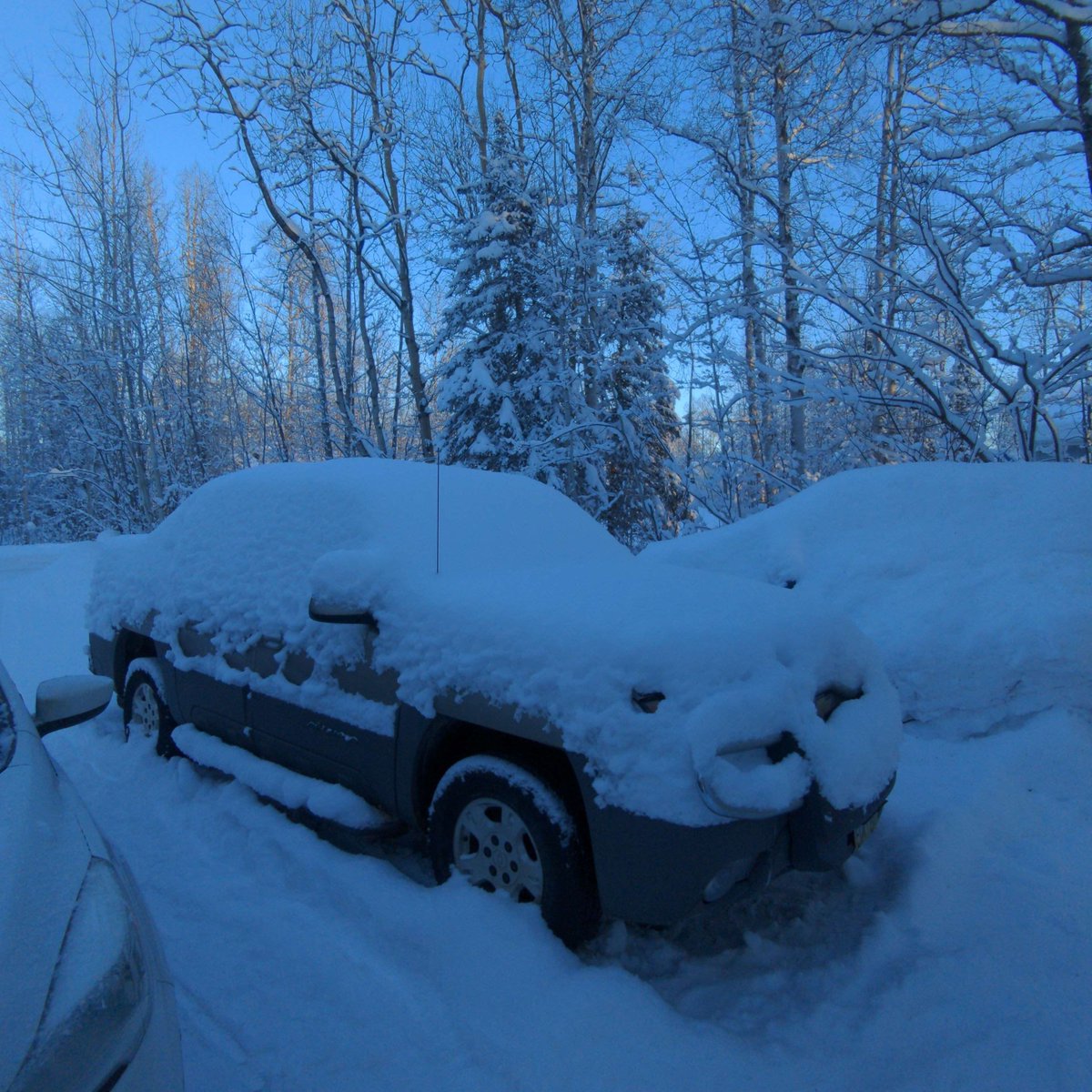 Shady_0wl's tweet photo. Gotta love Alaska! ❄❄❄ https://t.co/Hjn7FtsIWU