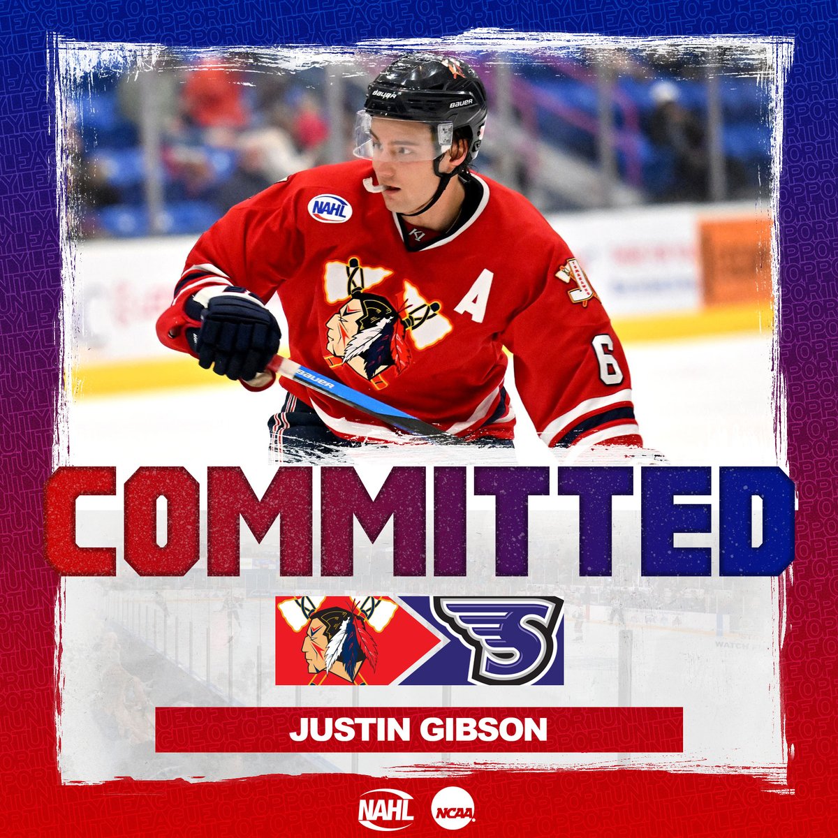 #NAHL Commitment Alert: @JohnstownHawks defenseman Justin Gibson has committed to play NCAA Division I @collegehockey for @StonehillHockey nahl.com/news/story.cfm…