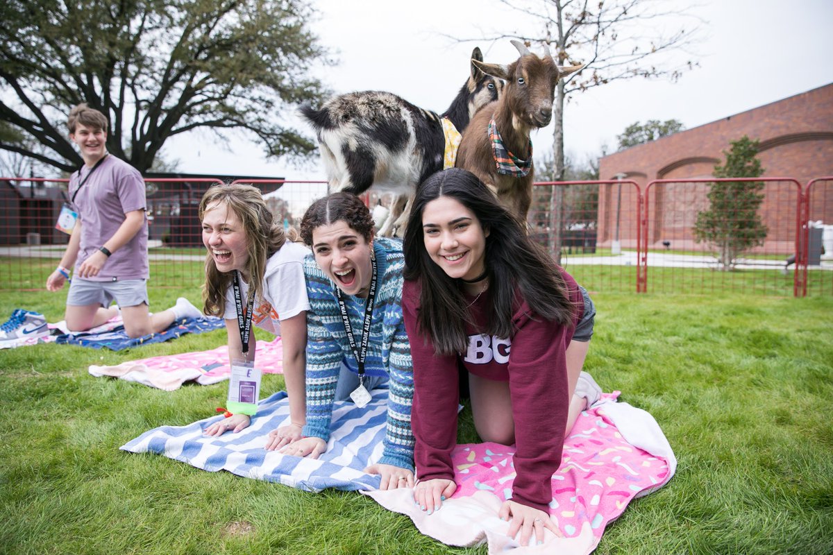 BBYO Insider tweet media