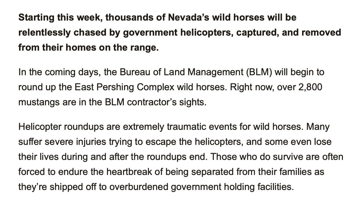 The Bureau of Land Management @blmnv is about to use our $$ to brutalize/injure/kill/imprison thousands of horses in Nevada in a cruel helicopter roundup. Please consider donating to @FreeWildHorses to stop this taxpayer-supported #AnimalCruelty: secure.everyaction.com/XnOif_55u065ng…