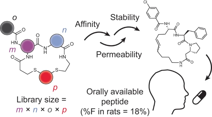 Manuel Leonardo Merz tweet media
