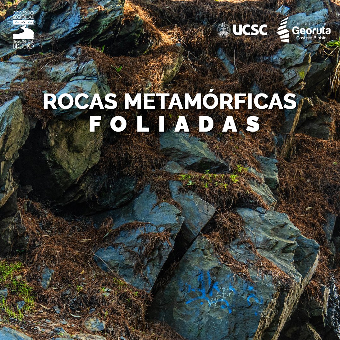 ¡Repasemos! 🥳Como podrás recordar, las rocas metamórficas se dividen 2 grupos: 1️⃣foliadas y 2️⃣no foliadas. En las primeras, durante el proceso de formación la presión y temperatura a la que es sometida la roca original hace que los minerales migren y se alineen en capas. 😱