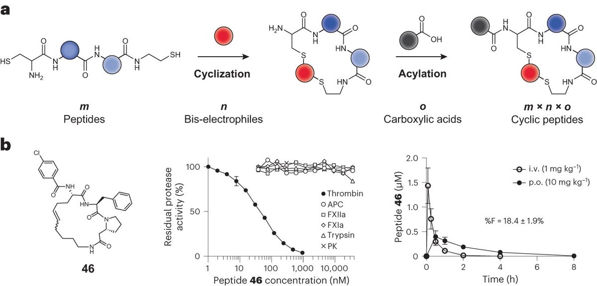 Manuel Leonardo Merz tweet media