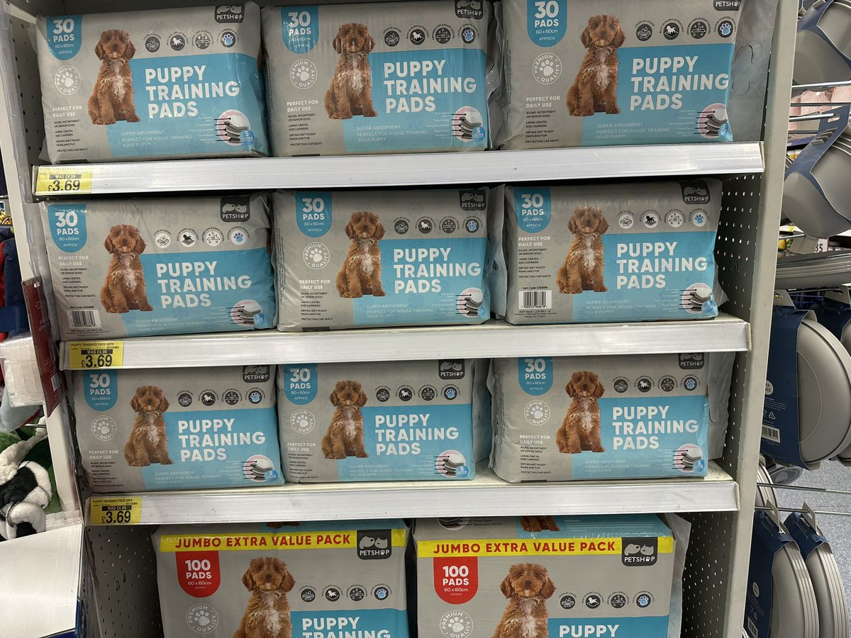 Saw this at @bmstores today, and I wondered why there are so many households in the West with pet dogs instead of children… Americans are having dogs instead of babies: qz.com/197416/america… Brits miss dogs more than family when at work: people.com/pets/pet-owner… There are